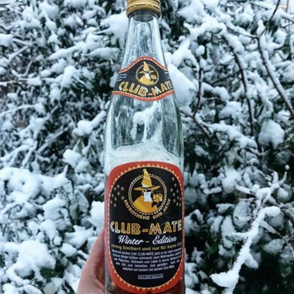 CLUB MATE - Bebida Mate Winter Edition Club Mate 1 x 500 ml
