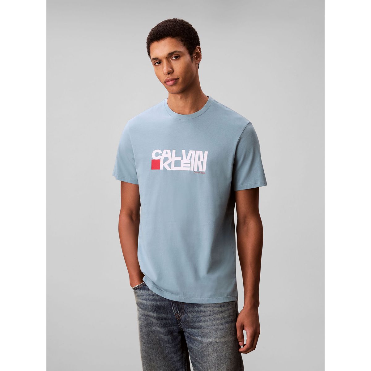 CALVIN KLEIN - Polera con Estampado Gráfico Redbox Azul Calvin Klein