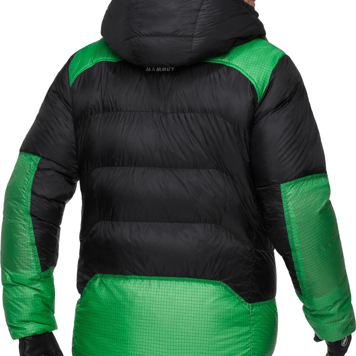 MAMMUT - Chaqueta Hombre Taiss Pro Belay In Hooded Verde Mammut