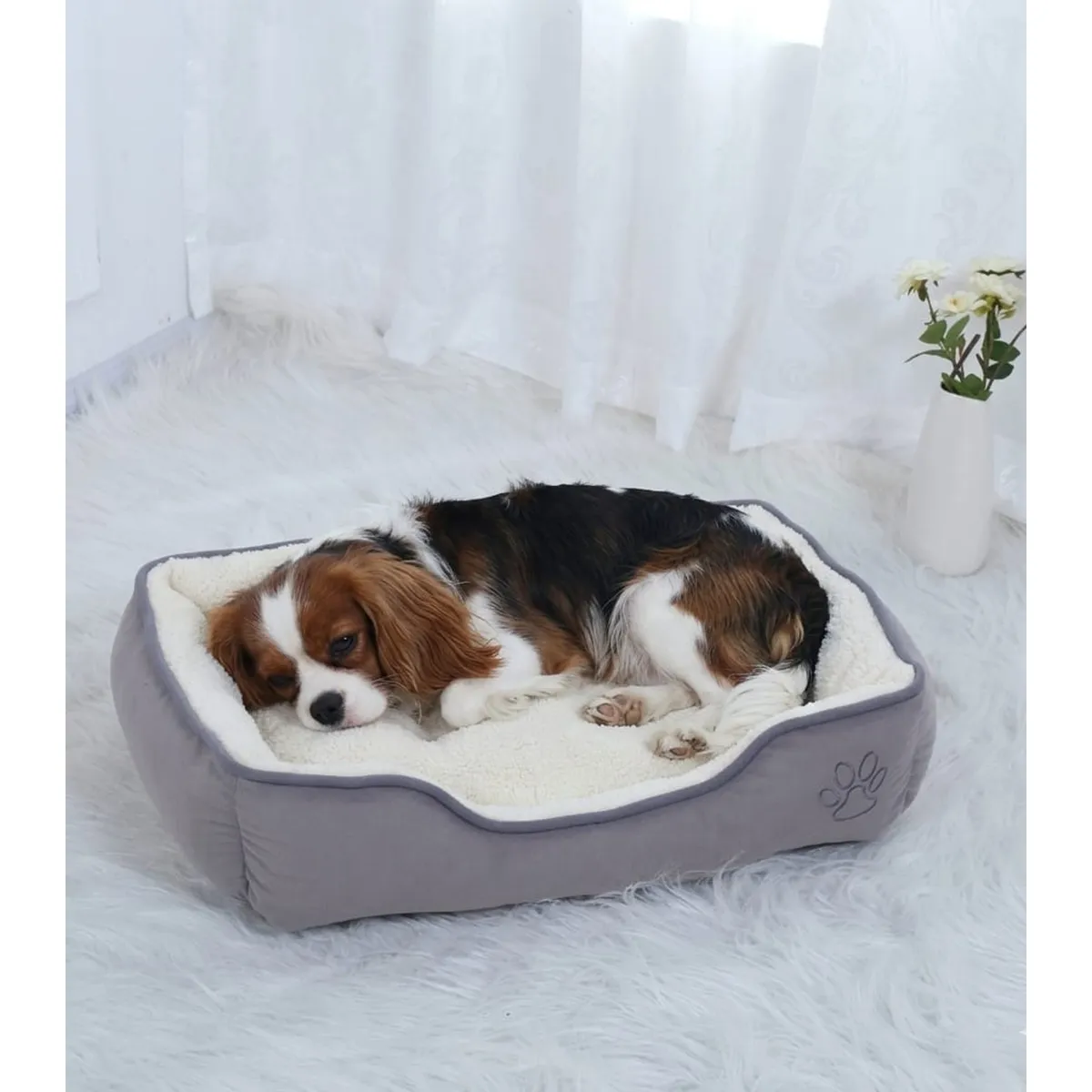 MASCO TODO - Cama Premium 2 Piezas para mascotas Color Talla S Gris