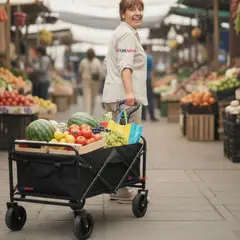 LINE - Carrito Compras Plegable Organizador Ideal Para El Camping 100Kg