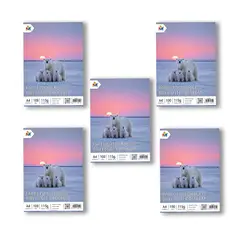MALIK - 5 Unidades Papel Foto A4 115g - 500 Hojas Calidad Glossy