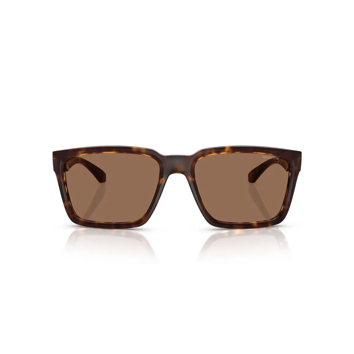 ARNETTE - Anteojos De Sol Arnette AN4346 Plot Twist Dark Havana Dark Brown Hombre