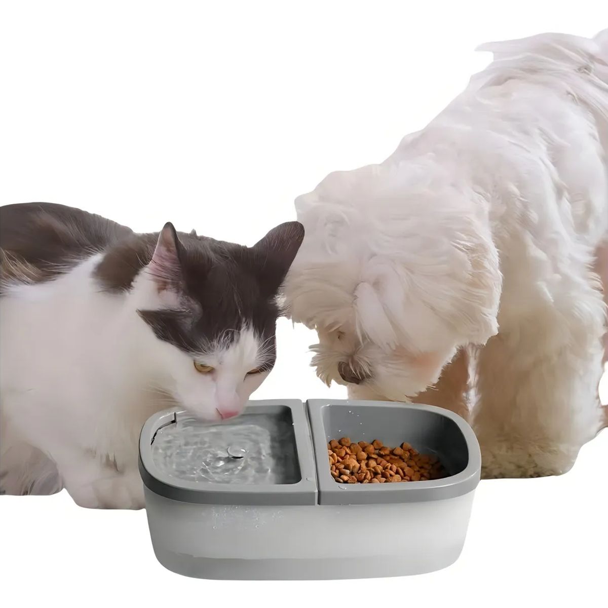 GENERICO - DISPENSADOR DE ALIMENTO Y AGUA MASCOTAS PERRO GATO