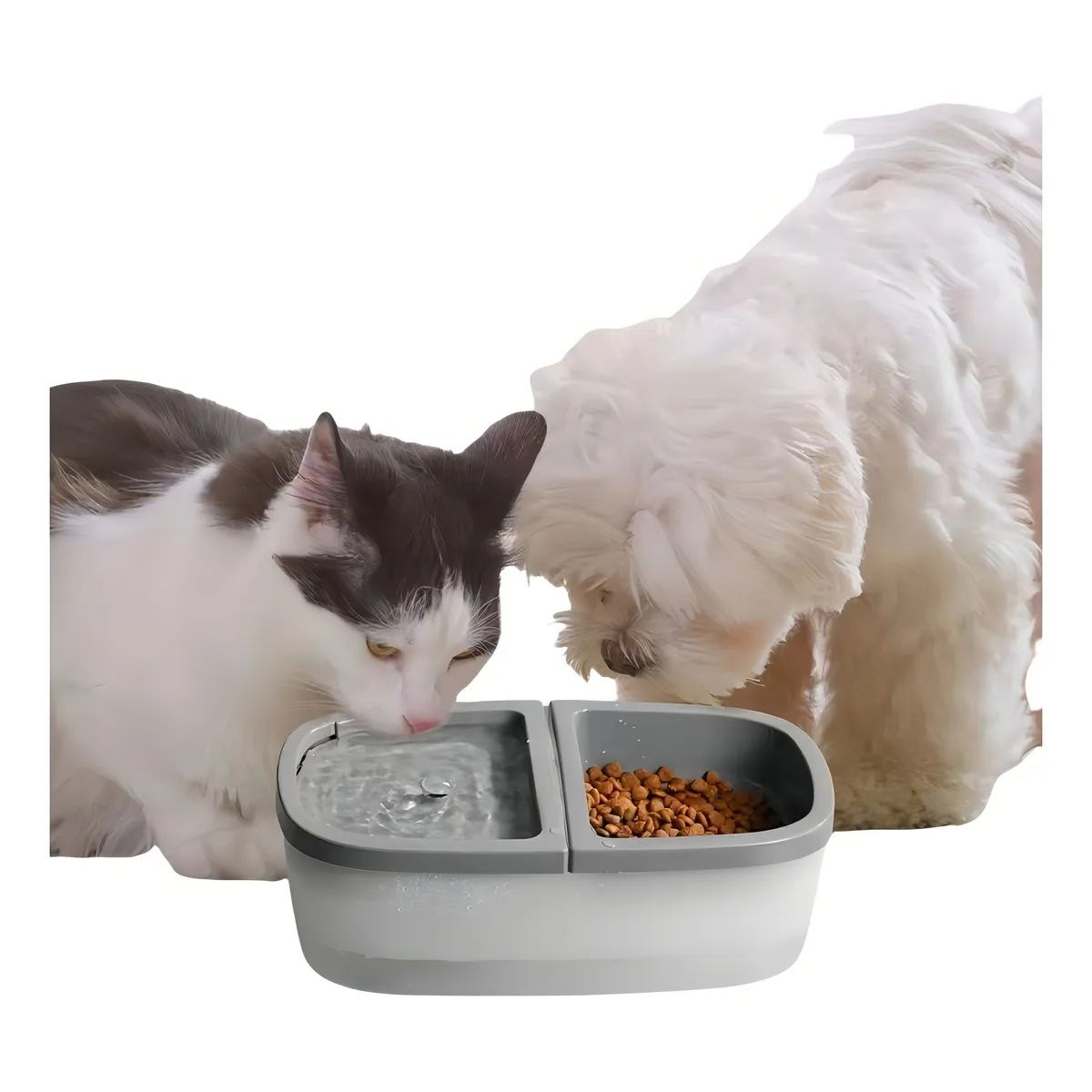 GENERICO - DISPENSADOR DE ALIMENTO Y AGUA MASCOTAS PERRO GATO
