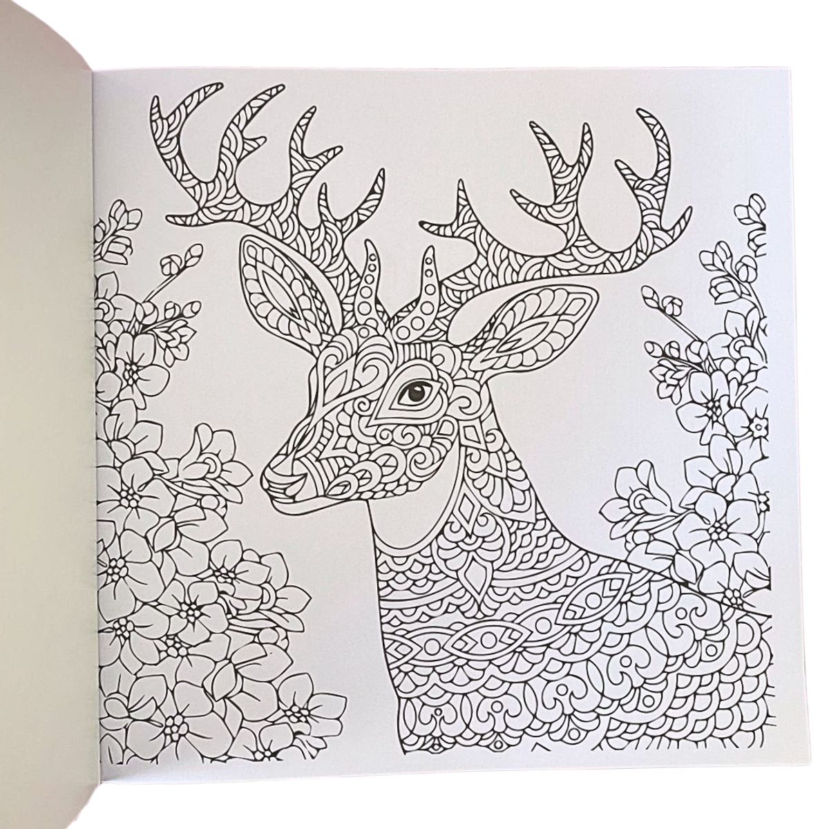 PRONOBEL - Libro Mándala Fauna + 12 Plumones Doble Punta Fina/gruesa