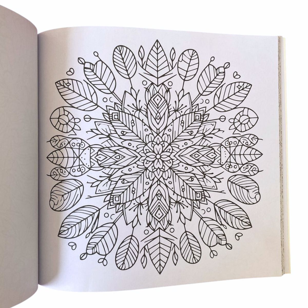 PRONOBEL - Libro Mándala Florales + 12 Plumones Doble Punta Fina/gruesa