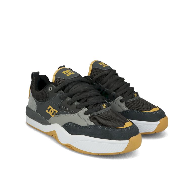 Zapatilla Hombre DC Ascend S Multicolor