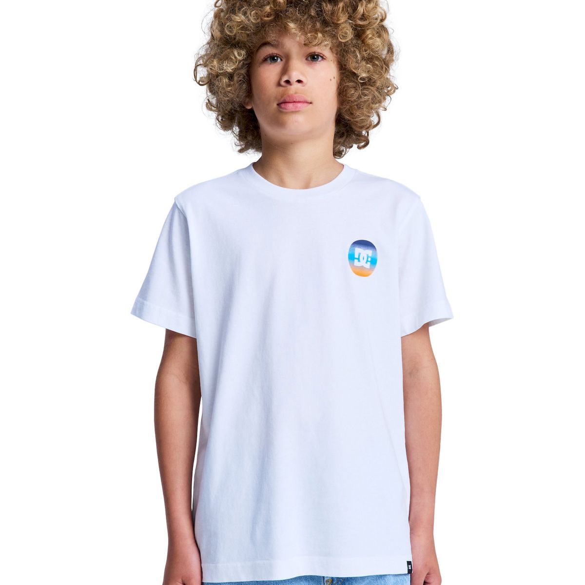 DC SHOES - Polera Niño Shape Or Destroy Blanco DC