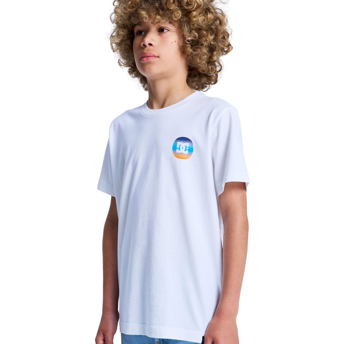 DC SHOES - Polera Niño Shape Or Destroy Blanco DC