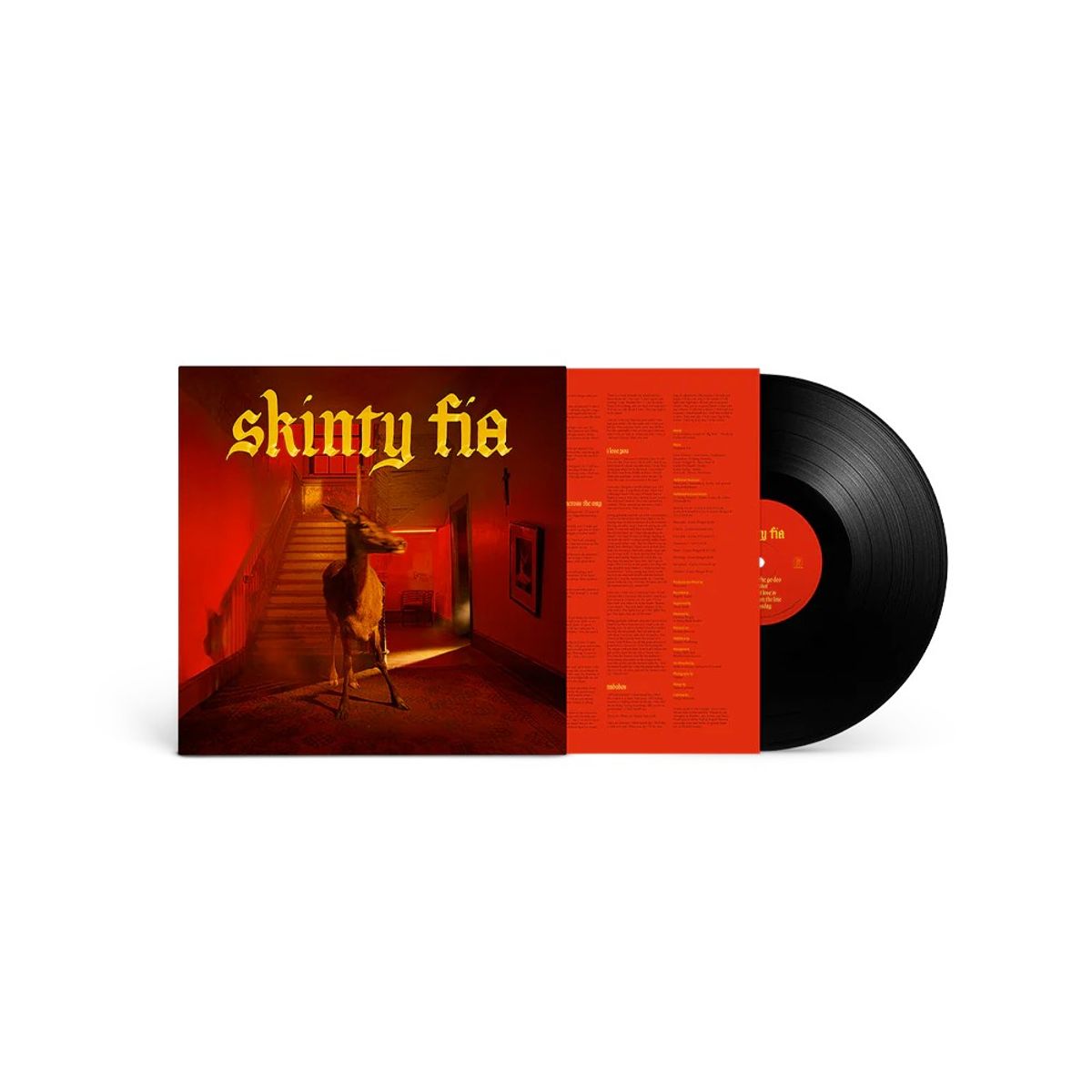 GENERICO - Fontaines D.C. - Skinty Fia - Vinilo Simple