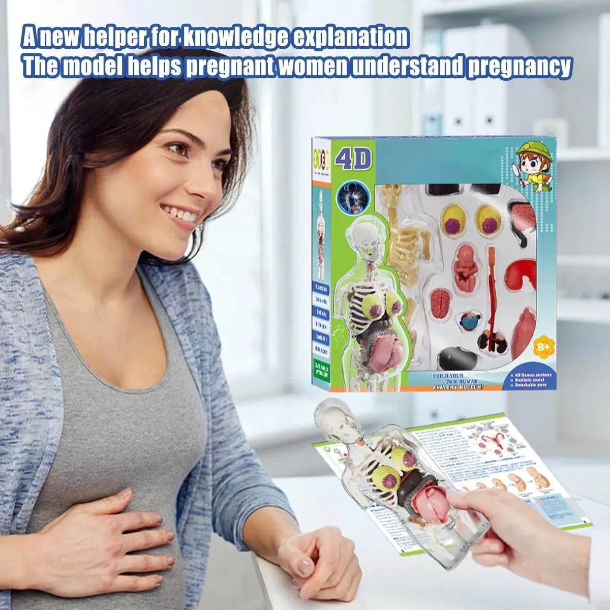 GENERICO - Modelo Anatomía Humana 4D Cuerpo Humano Desarmable Didáctico Embarazo