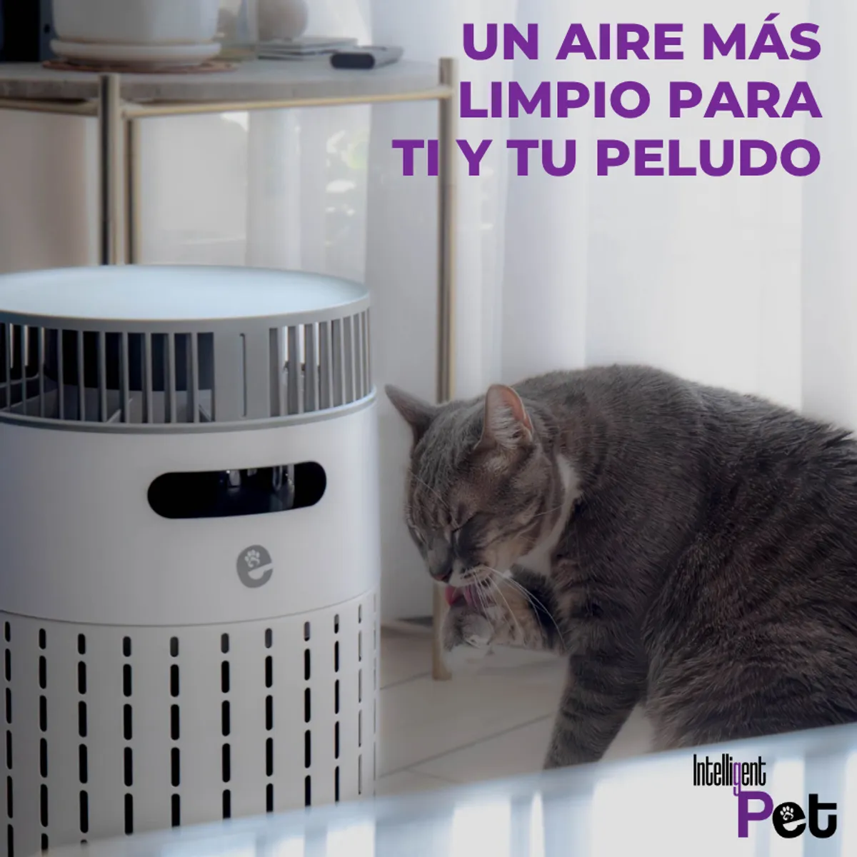 GENERICO - Purificador de Aire Intelligent Pet