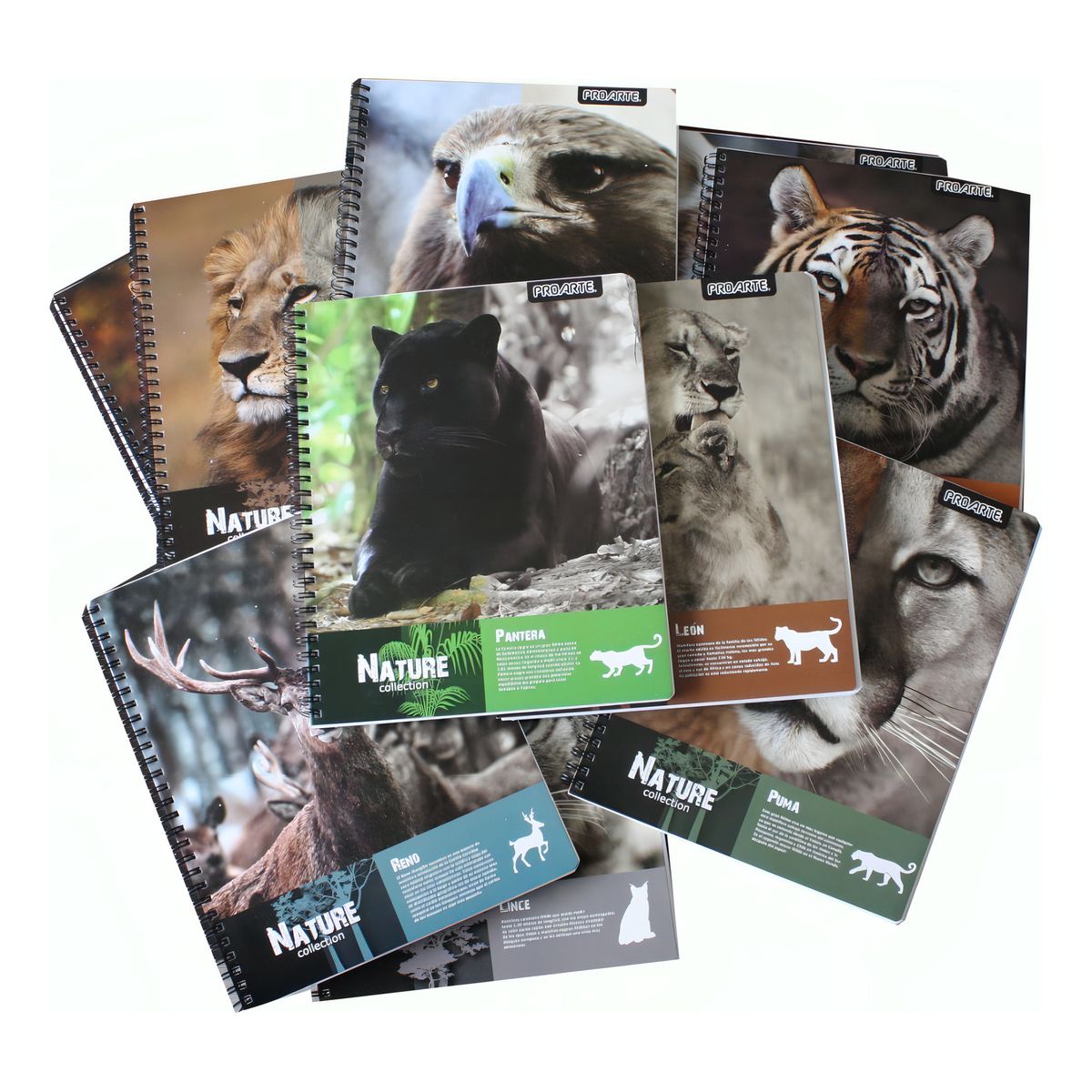 GENERICO - 10 Cuadernos Universitarios Nature Proarte 7mm 100 Hojas