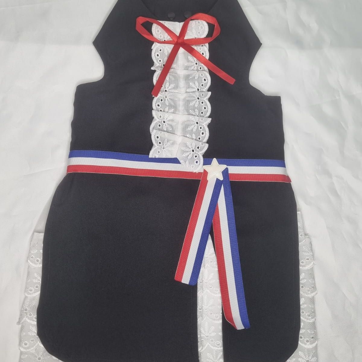 EL MUNDO DE EMMA - Vestido mascota huasa elegante talla XXL