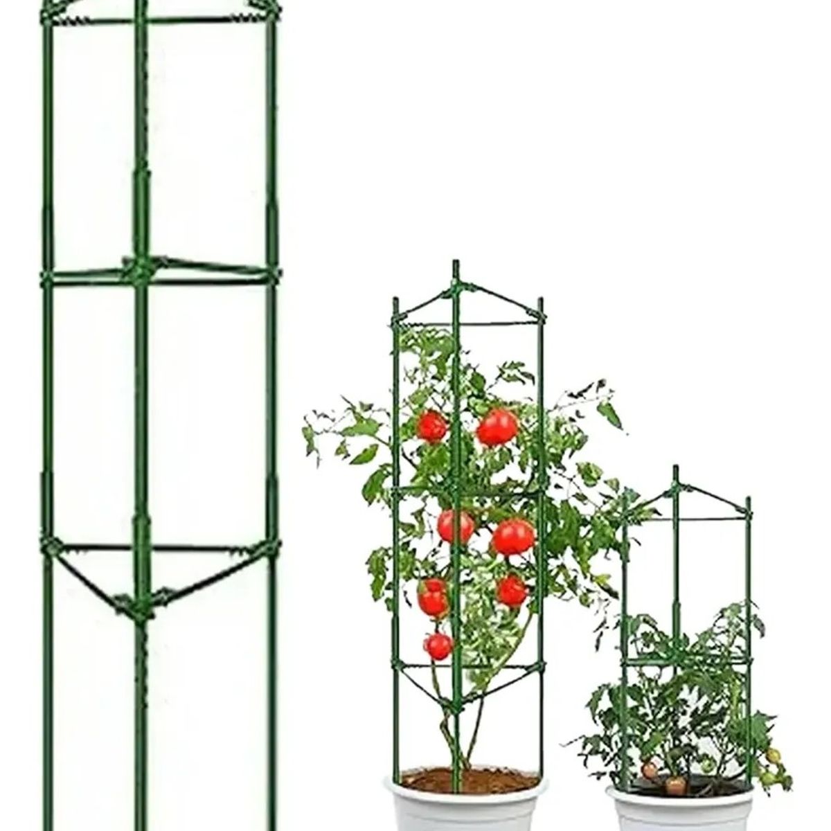 KUANGYE - Soporte Tutor Para Plantas Enredaderas Y Tomate Estacas