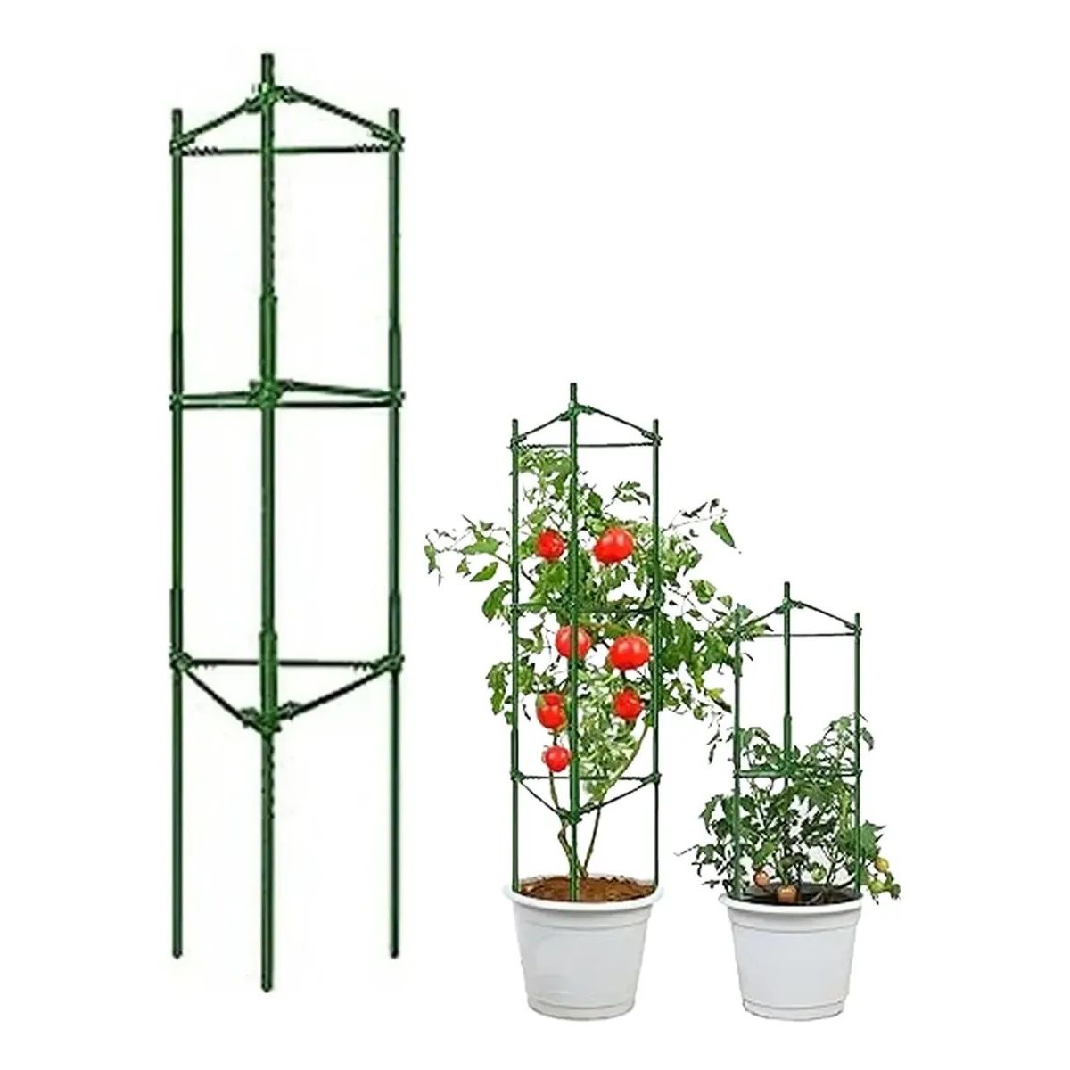 KUANGYE - Soporte Tutor Para Plantas Enredaderas Y Tomate Estacas