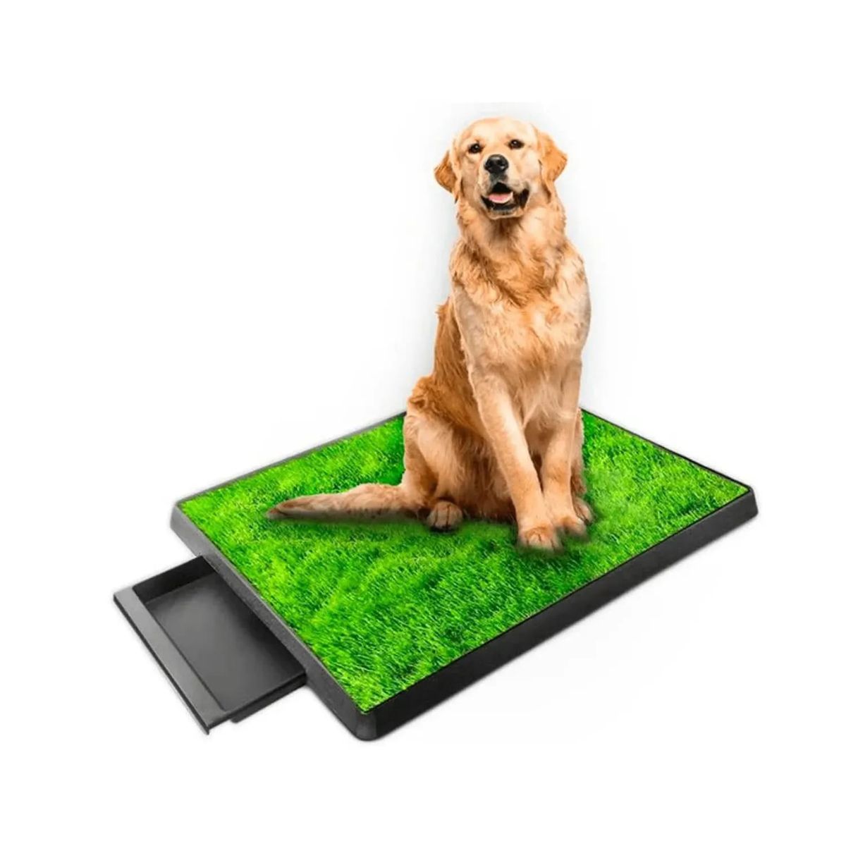 MOVI - Baño para Mascotas XXL Pet Potty