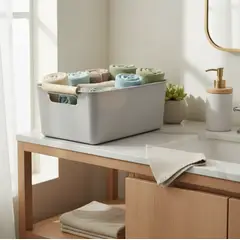 GENERICO - Caja organizadora plástica con asas 24.5x17x10 cm