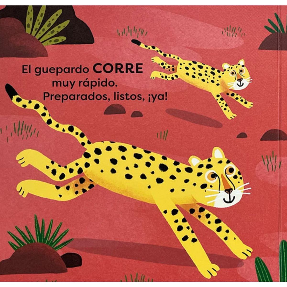 EDITORIAL CONTRAPUNTO - Pisa fuerte como un elefante! Acciones animales