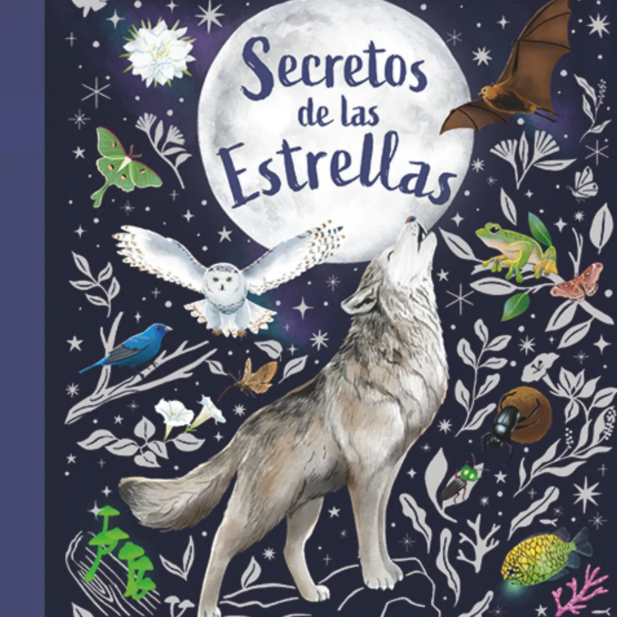 EDITORIAL CONTRAPUNTO - Secretos de las estrellas