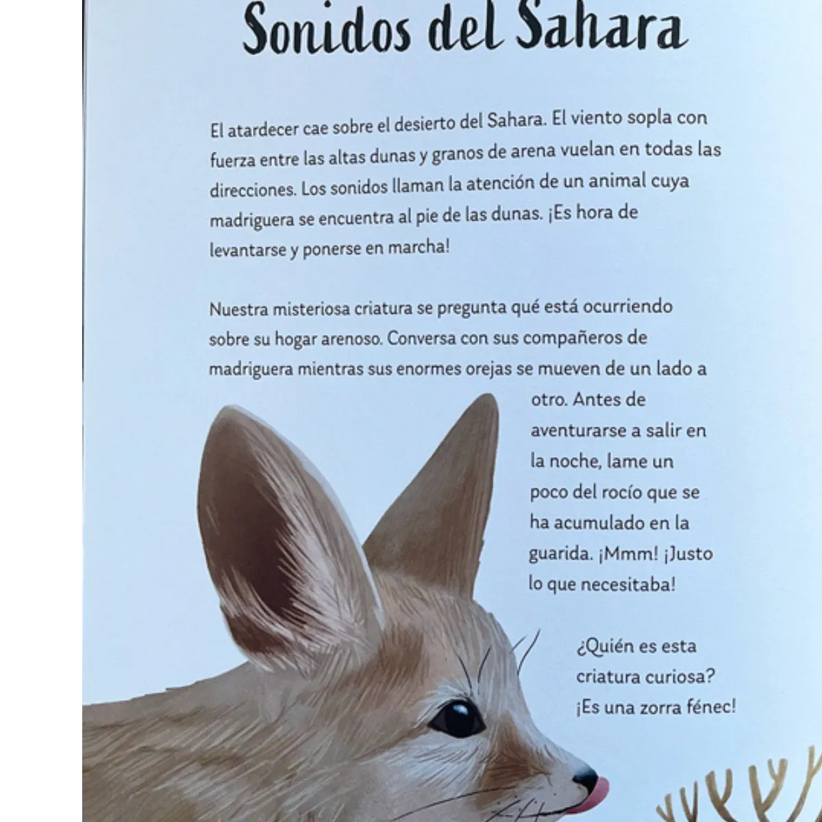 EDITORIAL CONTRAPUNTO - Secretos de las estrellas