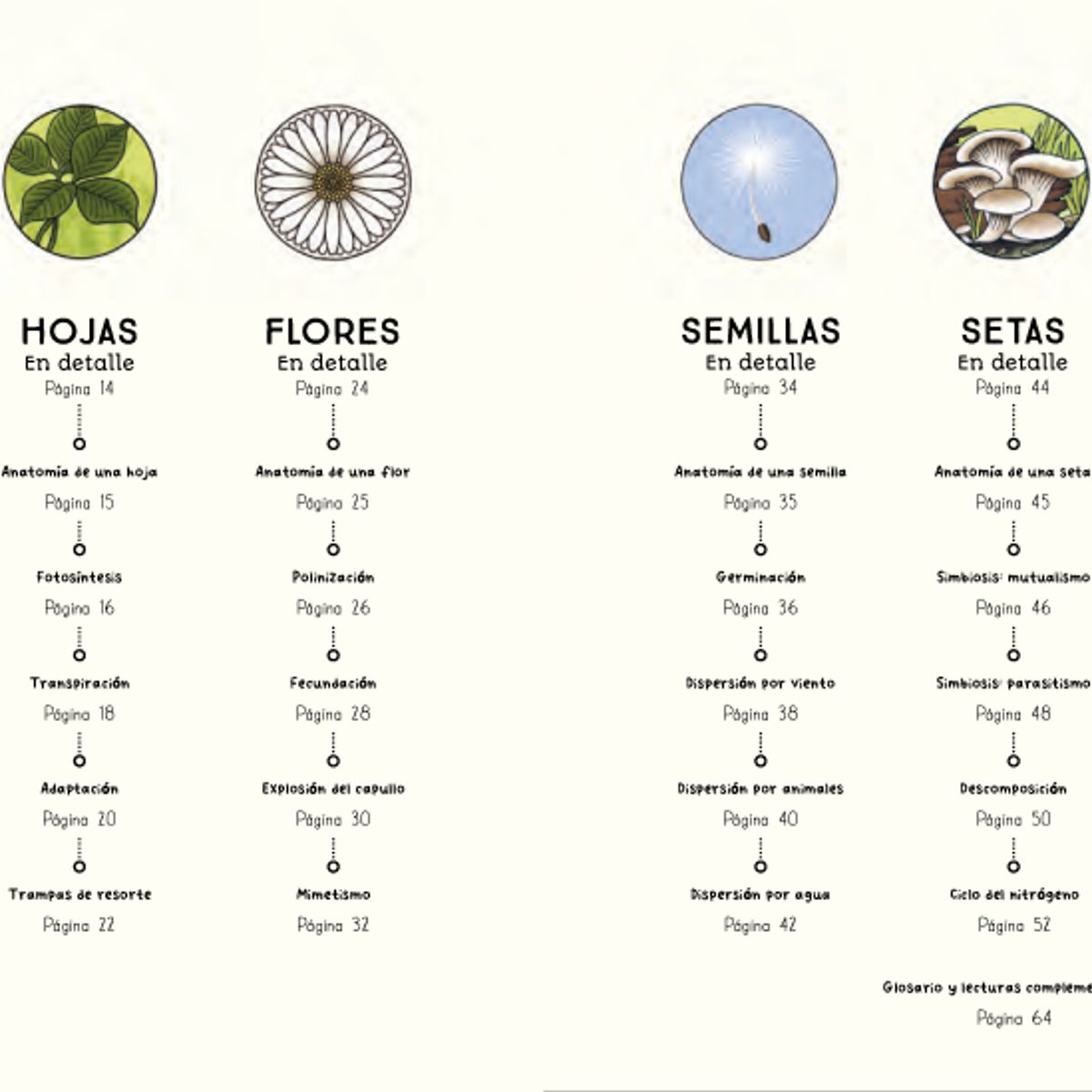 EDITORIAL CONTRAPUNTO - Ciclos de la naturaleza