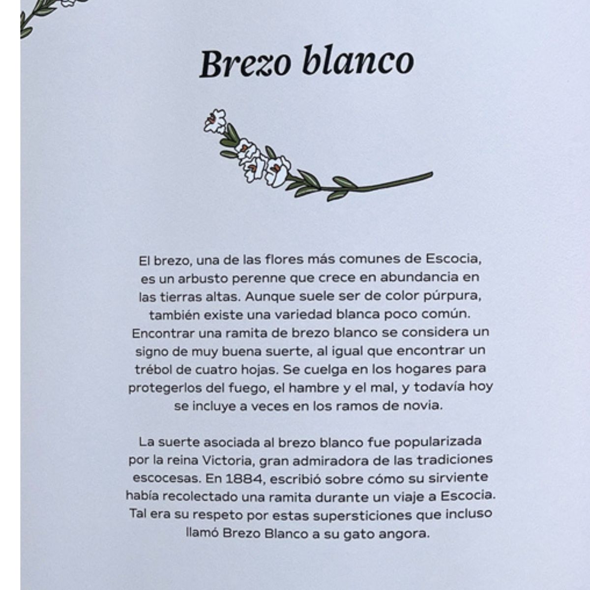 EDITORIAL CONTRAPUNTO - Buena suerte de Editorial Contrapunto