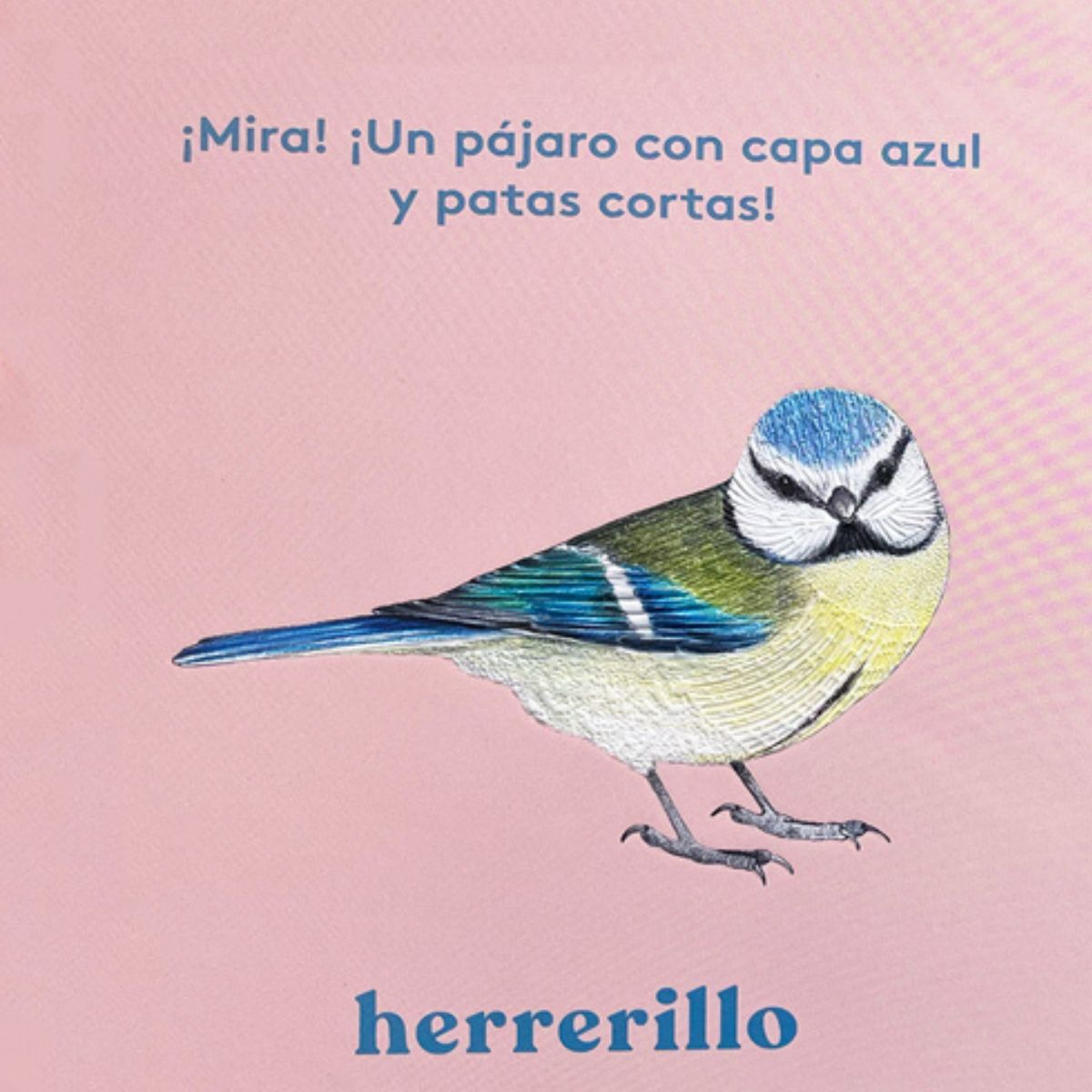 EDITORIAL CONTRAPUNTO - Mira! Un ave de Editorial Contrapunto