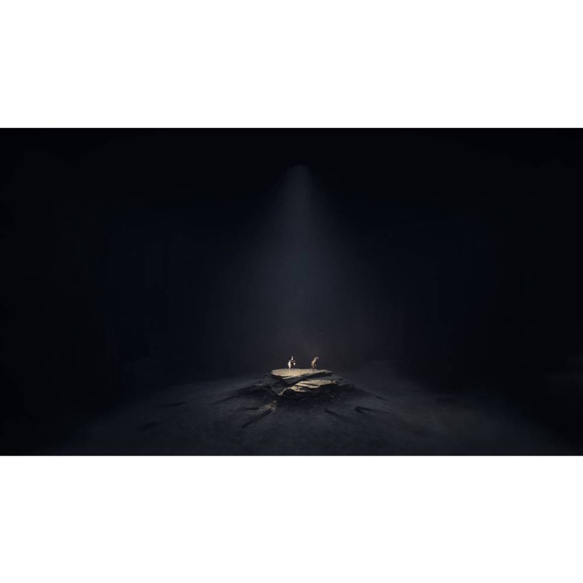 NINTENDO - REANIMAL -EU- NINTENDO SWITCH 2