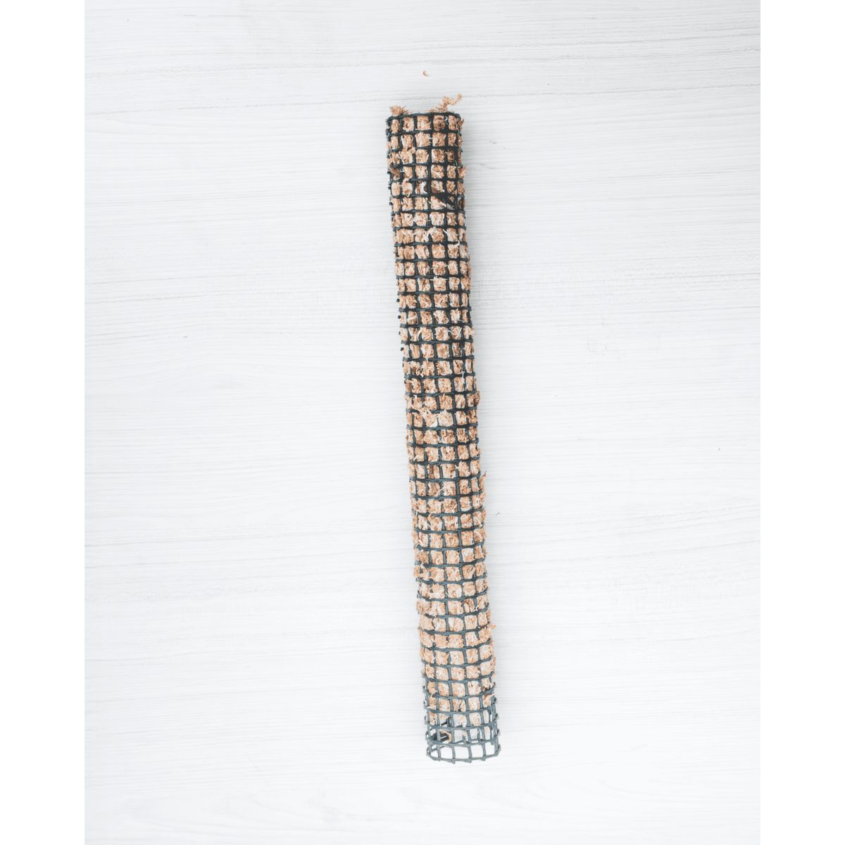 GENERICO - Tutor de Musgo 60 cm para Plantas Trepadoras - Anclaje de Raíces Aéreas