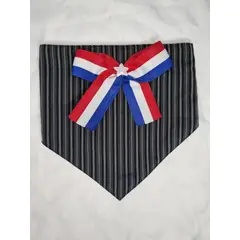 EL MUNDO DE EMMA - Bandana mascota fiestas patrias 1 talla XXL