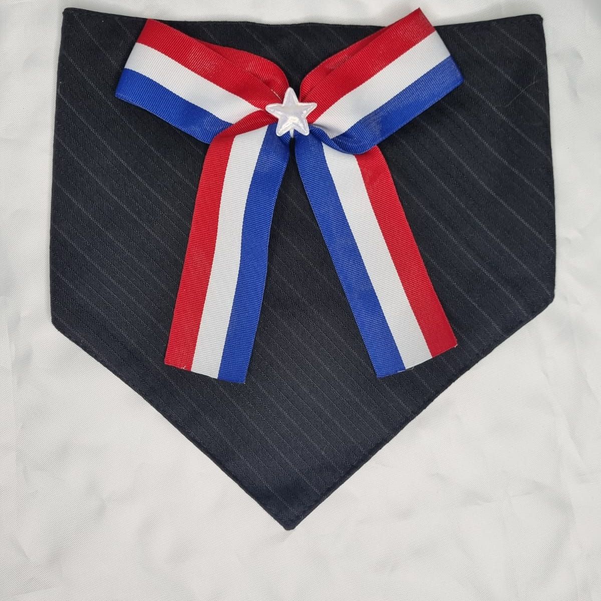 EL MUNDO DE EMMA - Bandana mascota fiestas patrias 2 talla L