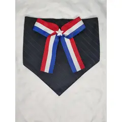 EL MUNDO DE EMMA - Bandana mascota fiestas patrias 2 talla L