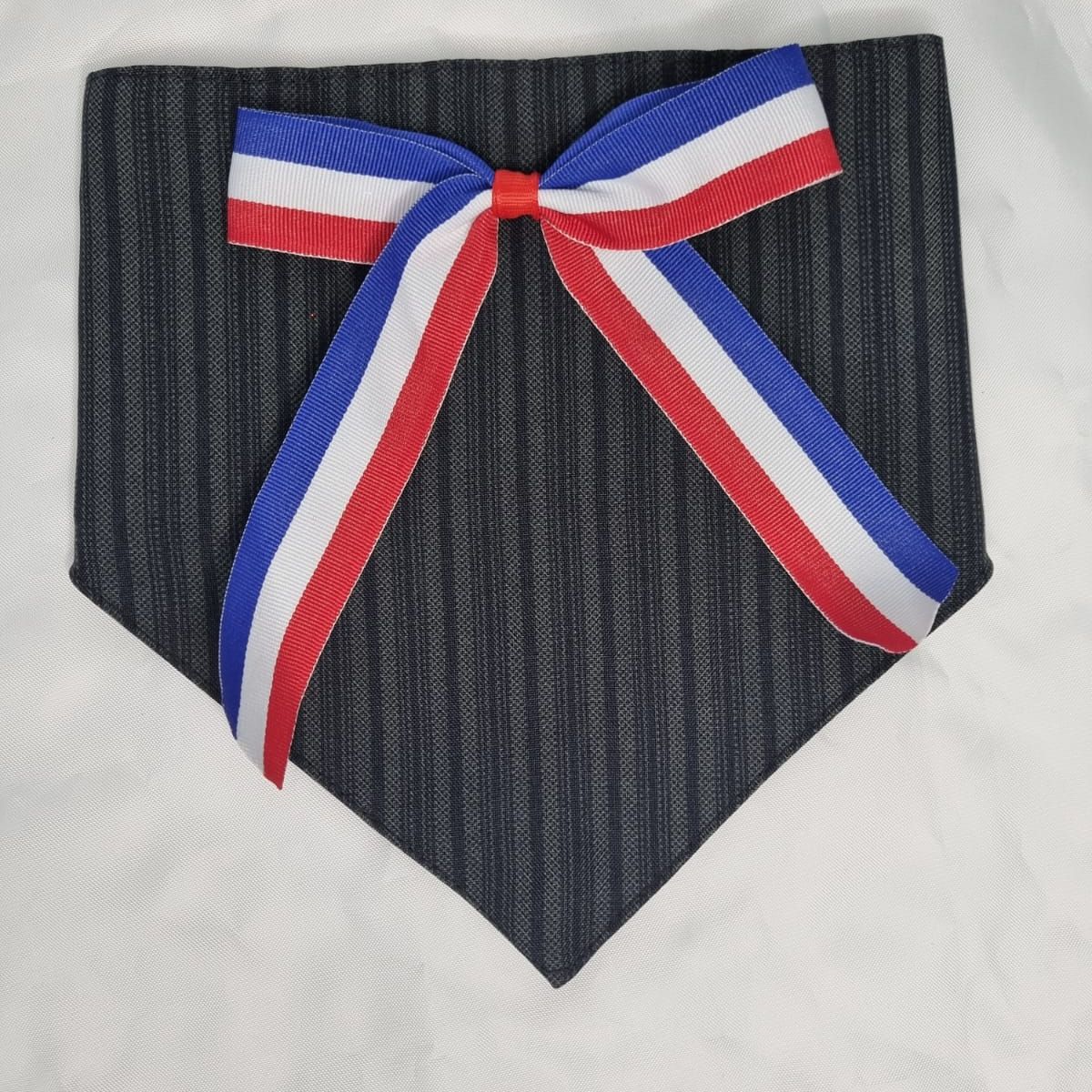 EL MUNDO DE EMMA - Bandana mascota fiestas patrias 3 talla M