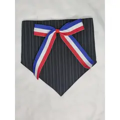 EL MUNDO DE EMMA - Bandana mascota fiestas patrias 3 talla M