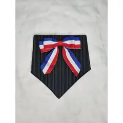 EL MUNDO DE EMMA - Bandana mascota fiestas patrias 4 talla XS