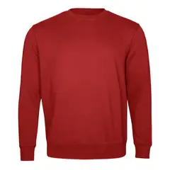ANDESLAND OUTDOOR APPAREL - Polerón Polo Vulpes Rojo Unisex