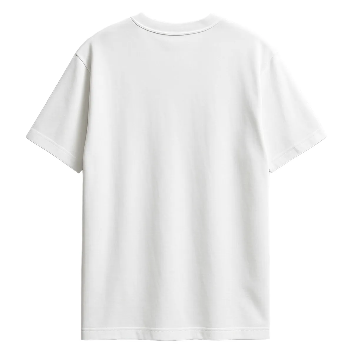 ANDESLAND OUTDOOR APPAREL - Polera Algodón Oversize Manga Corta Vulpes Unisex