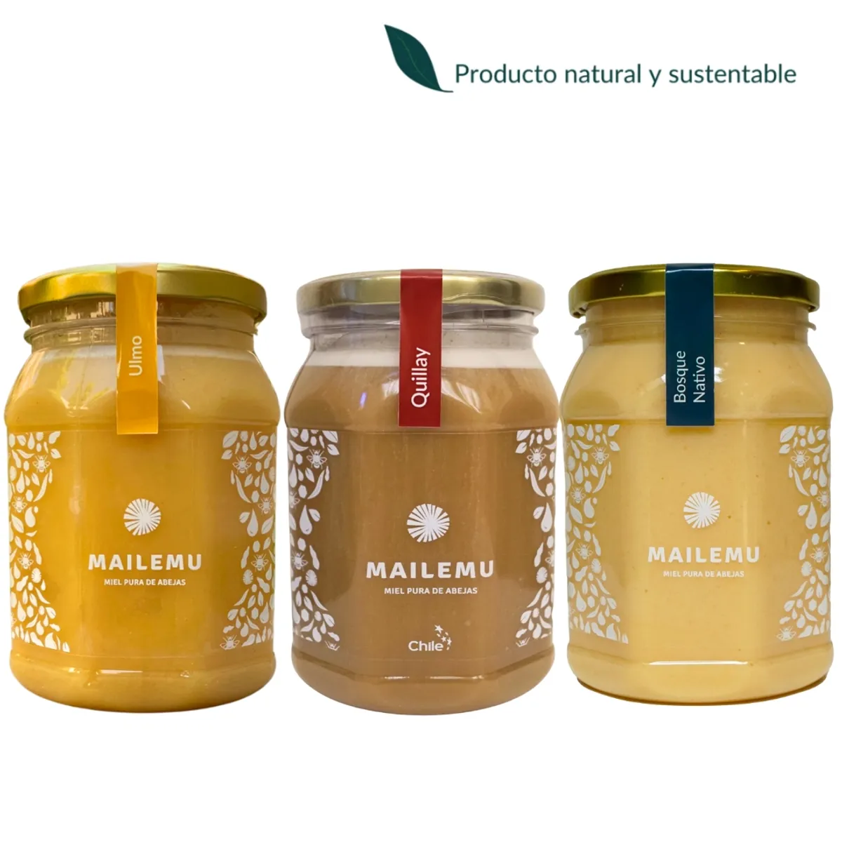 MAILEMU - Pack de Miel Ulmo, Bosque Nativo y Quillay 1kg