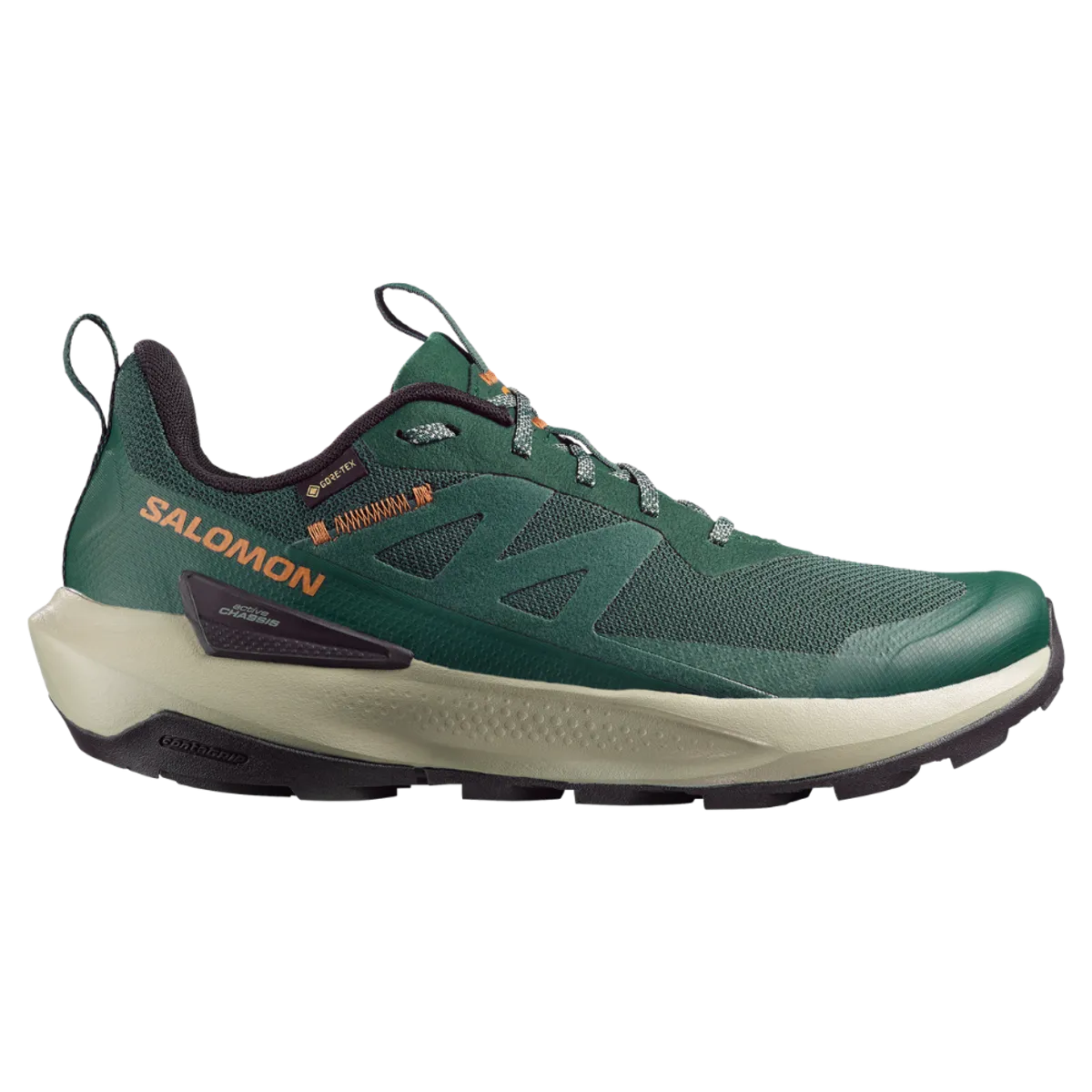 SALOMON - Zapatilla Hombre Elixir Activ Gore-Tex Sc Salomon