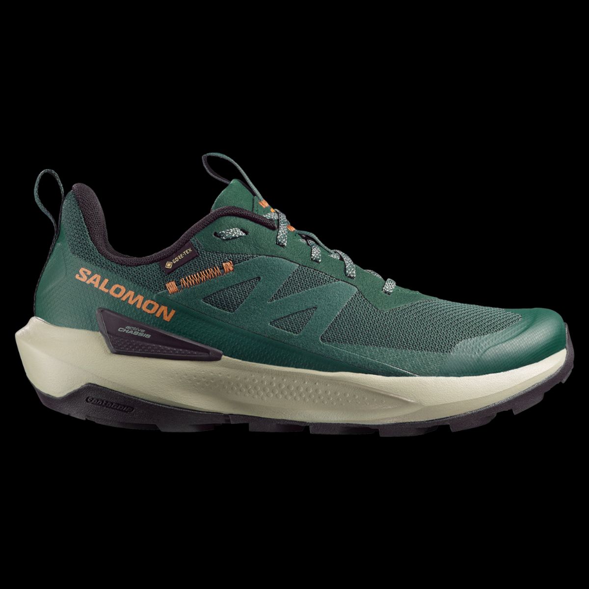 SALOMON - Zapatilla Hombre Elixir Activ Gore-Tex Sc Salomon