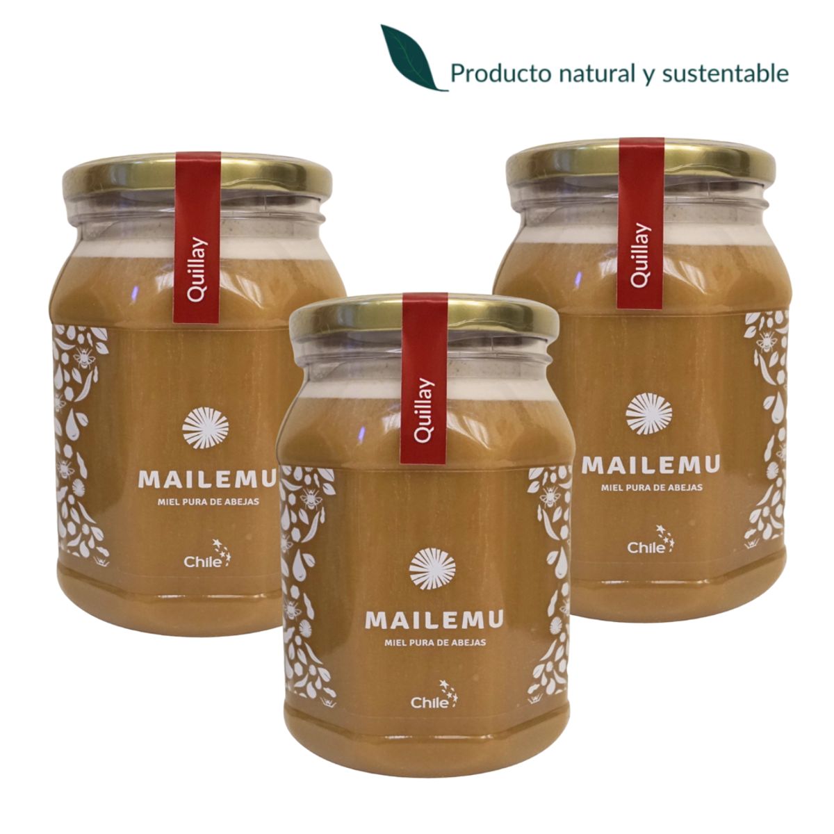 MAILEMU - Pack 3 un. Miel Pura de Quillay 1kg
