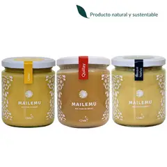 MAILEMU - Pack de Miel Ulmo, Bosque Nativo y Quillay 550gr