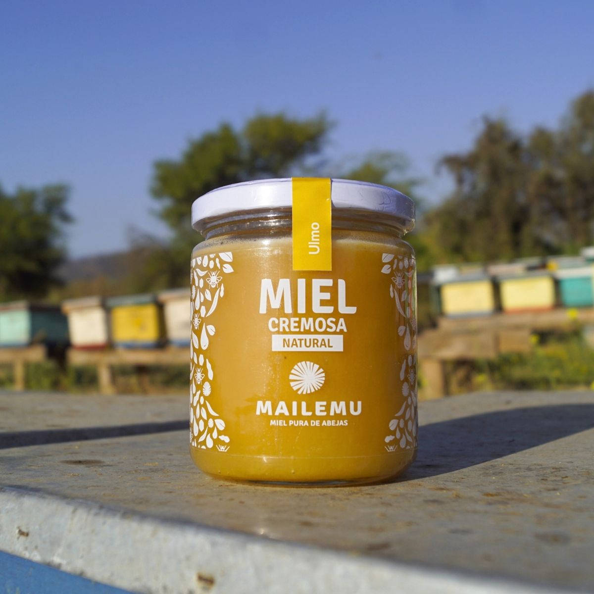 MAILEMU - Pack de Miel Ulmo, Bosque Nativo y Quillay 550gr