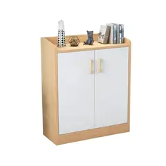 IMPORTCLICK - Mueble Organizador Zapatero 2 Puertas 60x90x30 CM