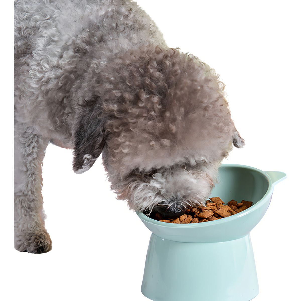 GENERICO - Cuenco Para Mascotas Inclinado Elevado Para Gatos Perros Wuf Color Azul