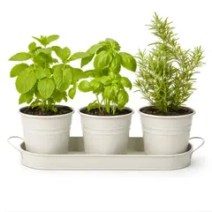 FLIPEREX - Set 3 Maceteros Maceta Metal Con Bandeja Decorativo Blanco