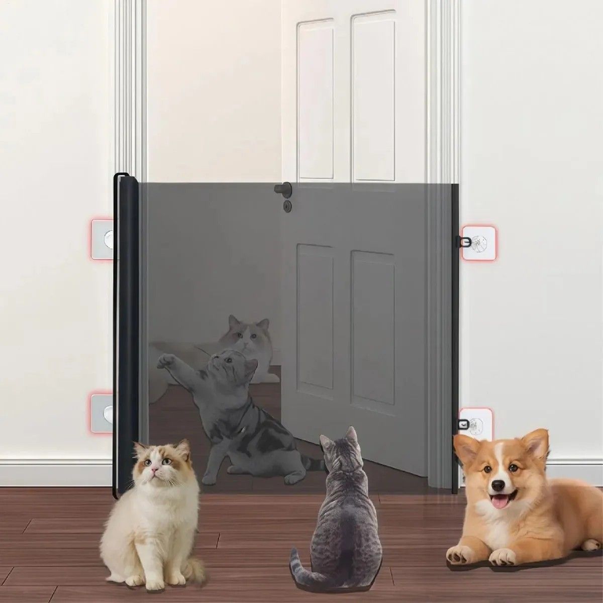 KUANGYE - Malla Retractil Puerta De Seguridad Mascotas Bebe 150x78 Cm Negro