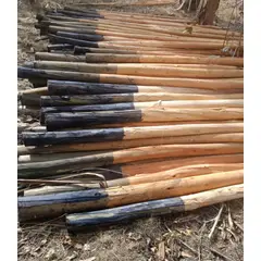 GENERICO - Tutores, Centrales o Postes de 1" hasta 5" de 2,44 metros tratados de Eucaliptus y Varas.